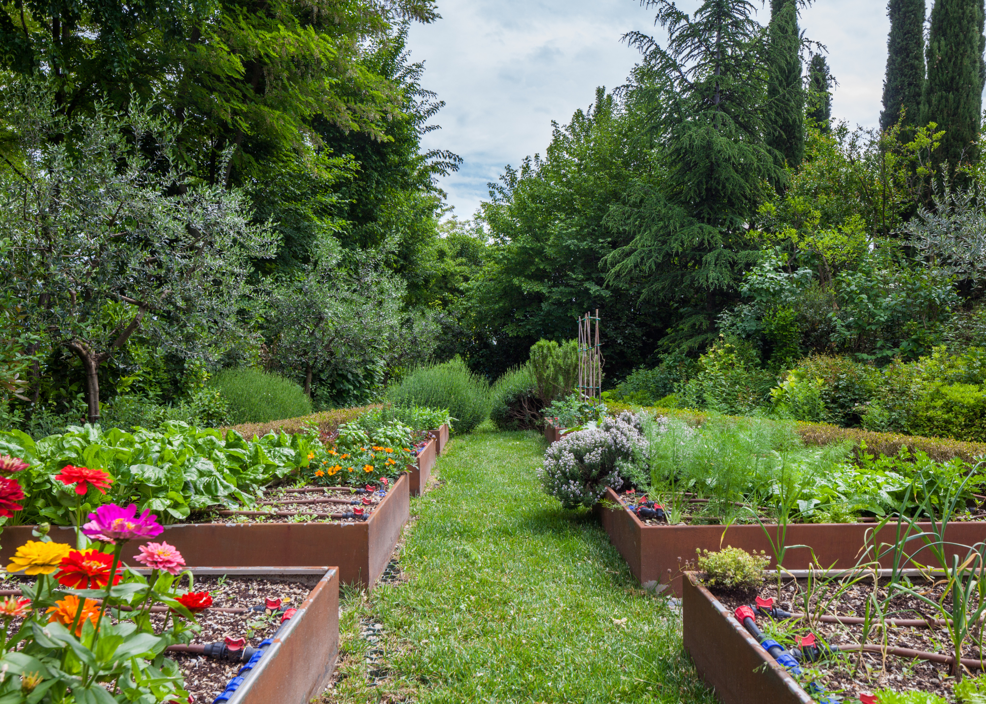Planning a Vegetable and Flower Garden for Small Spaces: A Fun & Easy Guide