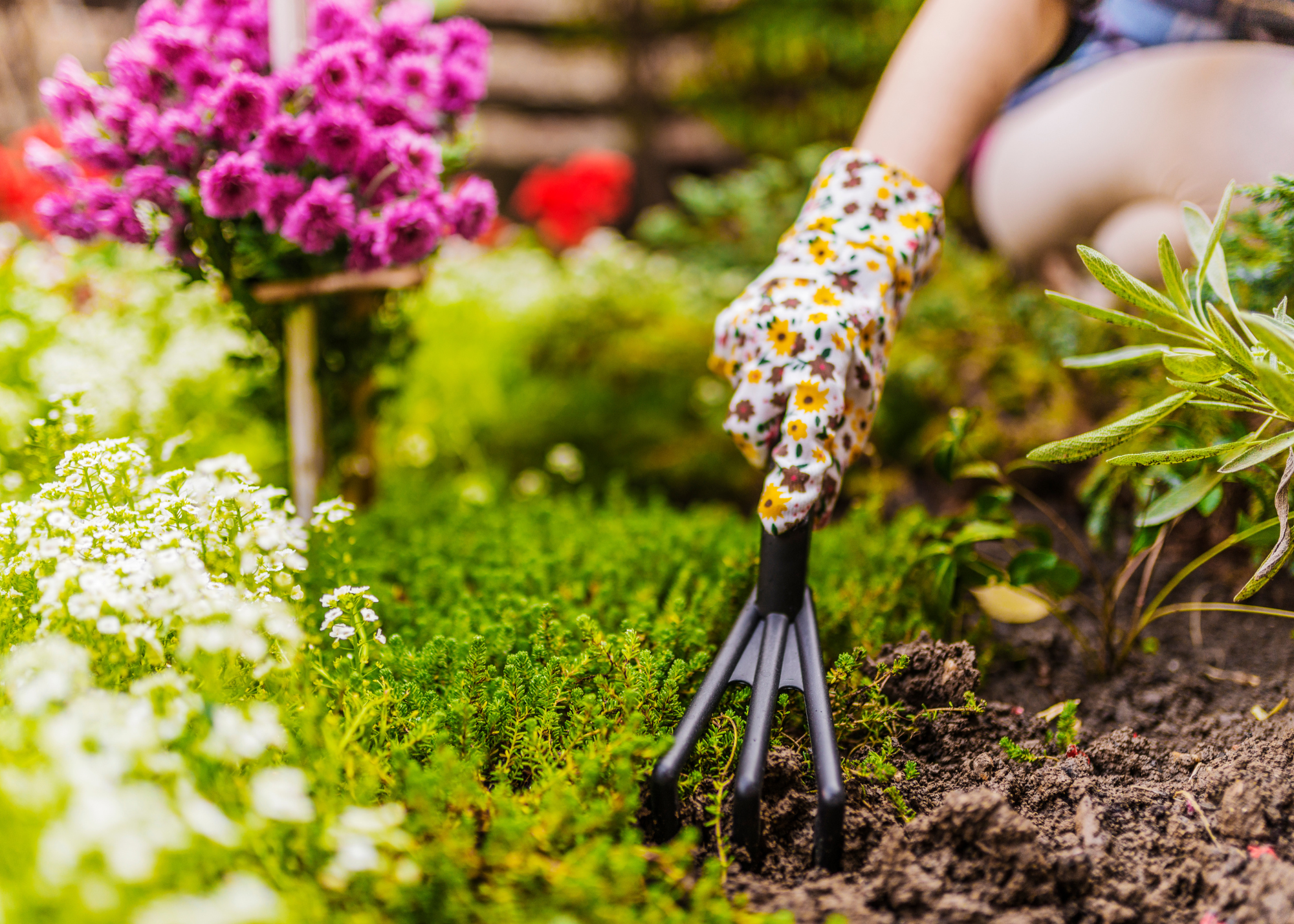 Creating Your Summer Sanctuary: Smart Weeding Tips and Easy Indoor-Outdoor Retreat Ideas